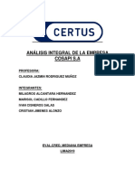 Analisis Integral de La Empresa Cosapi