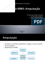 Slide Amputação Pronto