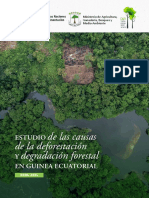 Deforestaciion