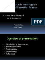 Lesion Detection in Mammogram Based On Multiresolution Analysis