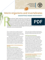 Fact Sheets Microorganism en