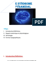 Syndrome Pyramidal