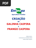 Criação Da Galinha e Frango Caipira PDF