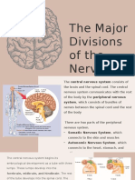 The Major Divisions of The Nervous System