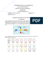 Rutas PDF