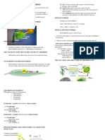 Biology Reviewer BASIC PHOTOSYNTHESIS