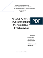 Trabajo de Razas Ovinas