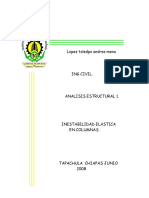 Inestabilidad Elastica PDF