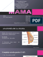 Seminario Mama Modificado PDF