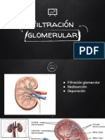 Filtracion Glomerular-Nefro