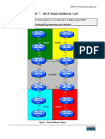 BGP Route Reflector Lab PDF