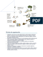 Niveles de Organización de La Materia