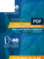 Unidad - 1 - Tarea 1 - AnyiLorenaSanchezSepulveda PDF