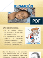 Deshidratacion PDF