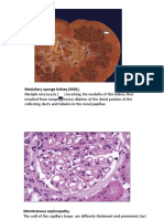 Praktikum PA Urogenital