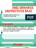 Presentacion Urologia PDF