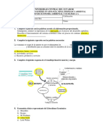 EXAMEN A Respuestas