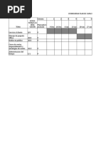 Presupuesto y Cronograma Plan Formacion