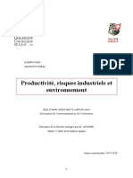 Mémoire Droit de L'environnement - Productivité, Risques Industriels Et Environnement