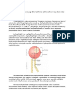 Phospholipids 