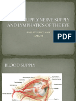 Blood Supply, Nerve Supply and Lymphatics of The Orbit