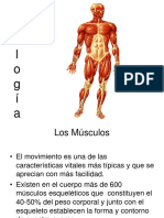 Musculos - fUNCIONES PDF