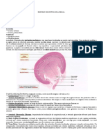 Resumo de Histologia Renal (Natália Bonfá) 3 PDF