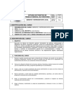 Manual de Funciones Consultoria PDF