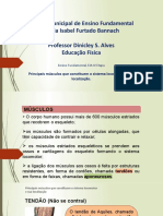 Educação Física - Principais Músculos Do Corpo.