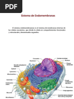 011 Sistema de Endomembranas y Organelos PDF