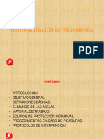 Enjambres PDF