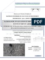 Pathologie Des Ponts