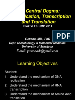 K3 - Central Dogma