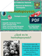 Hematopoyesis