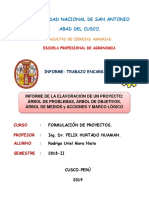 Proyecto de Formulacion