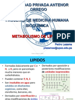 Lipidos Bioquimica PDF