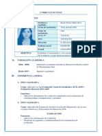 CV Documentado Pronabe