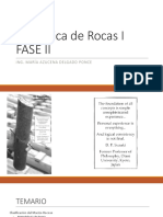 Rocasi Faseii 2019999