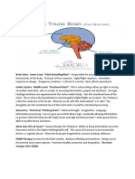 3 Levels of The Brain (EMDR)