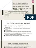 Abhishek Kumar - Conventional & Modern Innovative Approaches For Development of Hybrids and Varieties For Yield of Pearl Millet