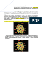 Formación de La Imagen Latente (Y)