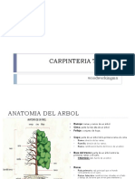 Curso de Carpinteria Tema 1 A 5 PDF