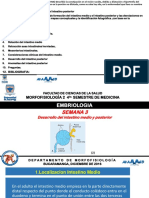 Intestino Medio y Posterior