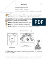 Familia Sterculiaceae