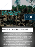 Consequences of Deforestation by Ritika Agarwal