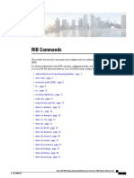 RIB Commands