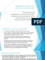 Dimensión Individual y Colectiva de Los DDHH y