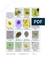 Atlas Curso Parasitología 2016