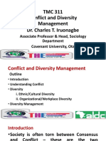 Conflict and Diversity Management