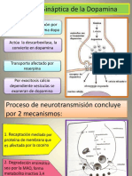 Dopamina y Transmision Dopaminergica